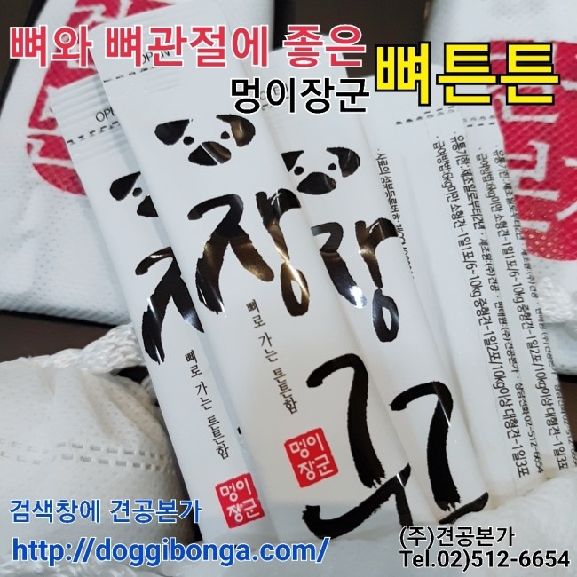 (주) 견공본가 이미지