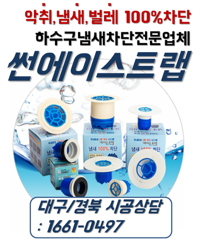 에이스썬 이미지