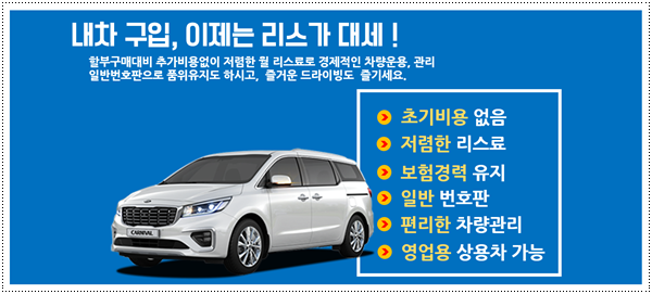 마이젠카 이미지