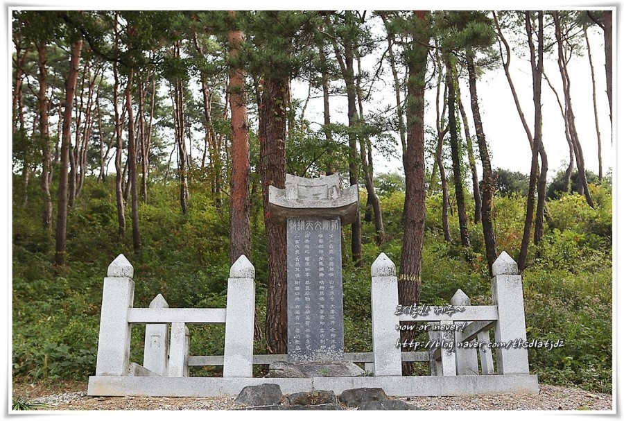 신도이용원 이미지