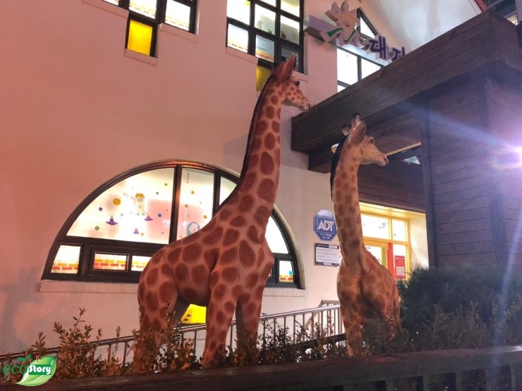 대자연유치원 이미지