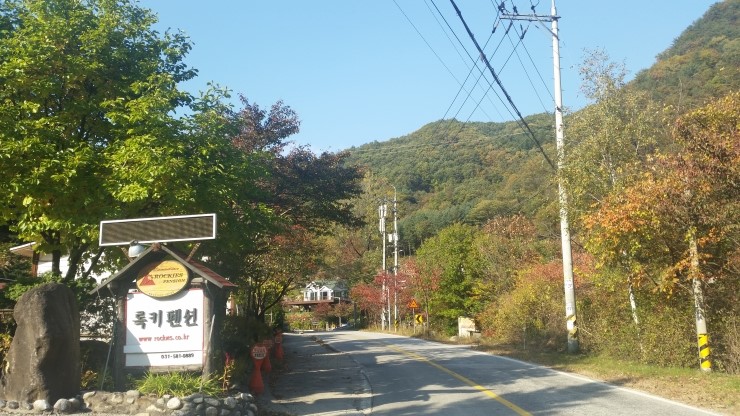 통돼지한마리 이미지