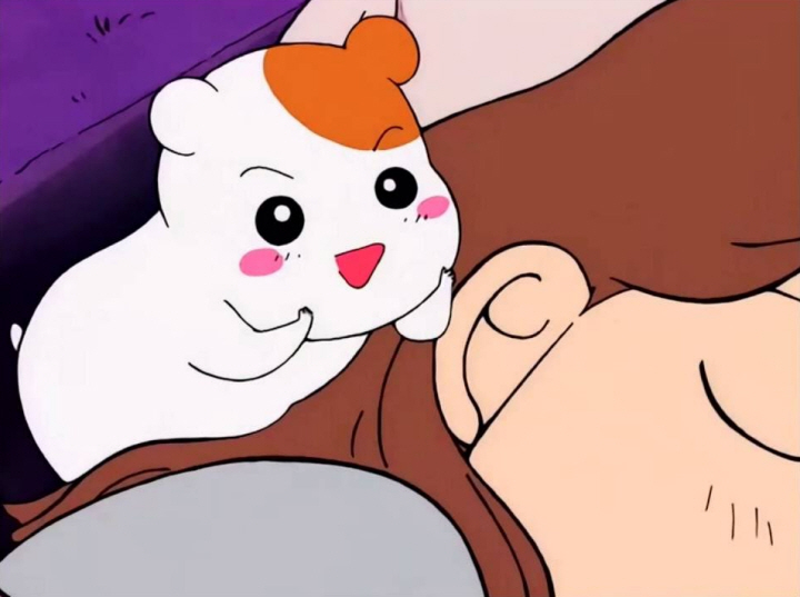 스위트로빈 이미지