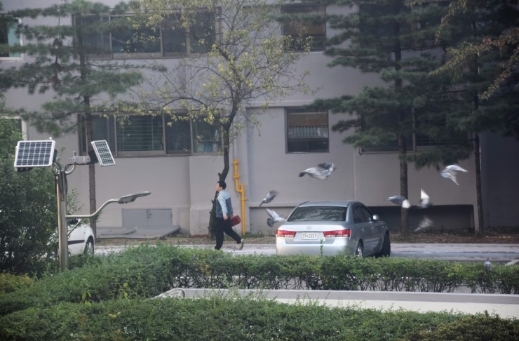 태양수선 이미지
