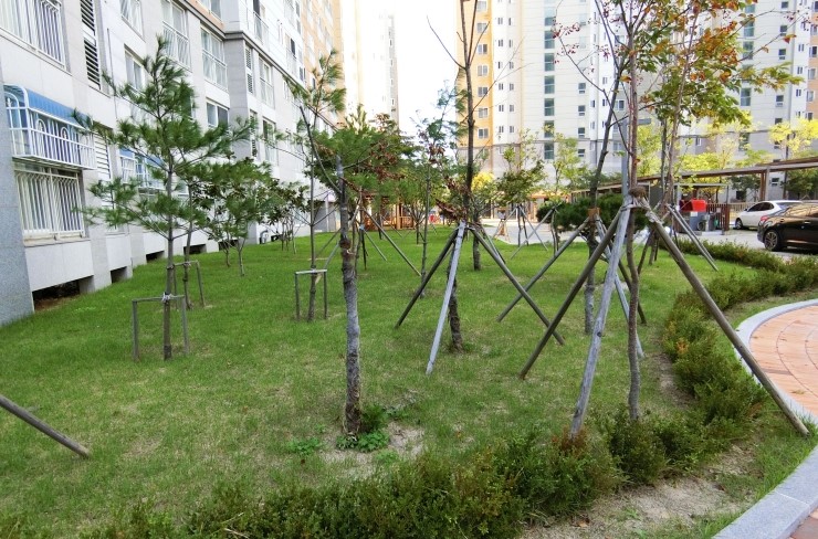구디팡 이미지