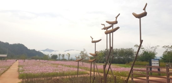거창중앙고등학교 이미지