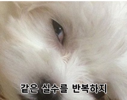 울트라코어 이미지