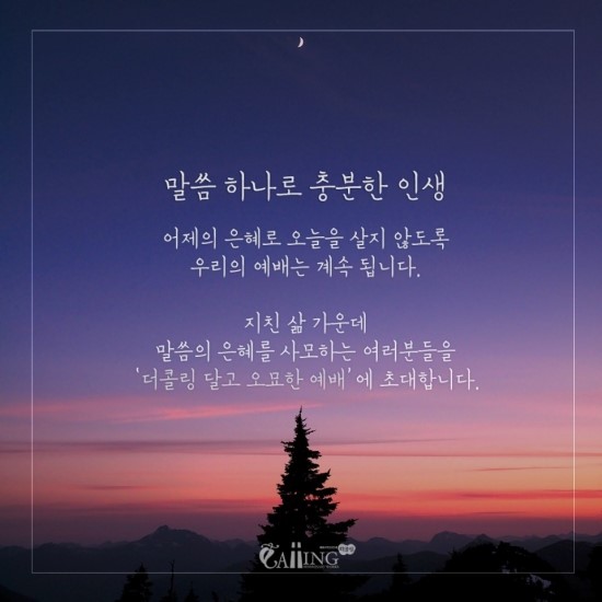 더콜링 이미지