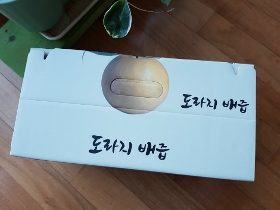 아리엘미문 이미지