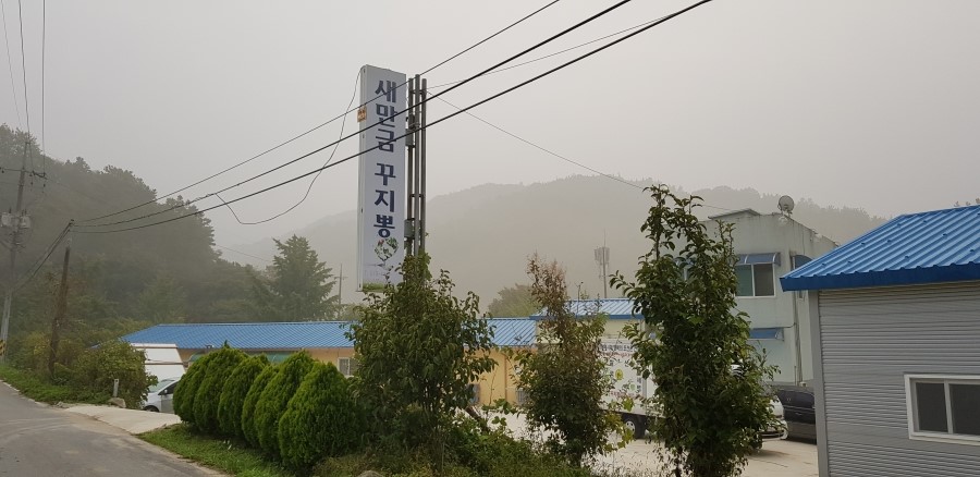 새만금유기농꾸지뽕 이미지