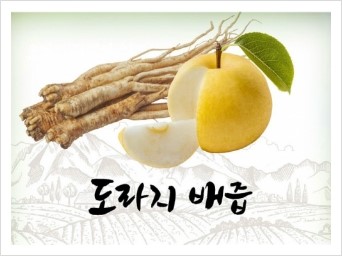아리엘미문 이미지