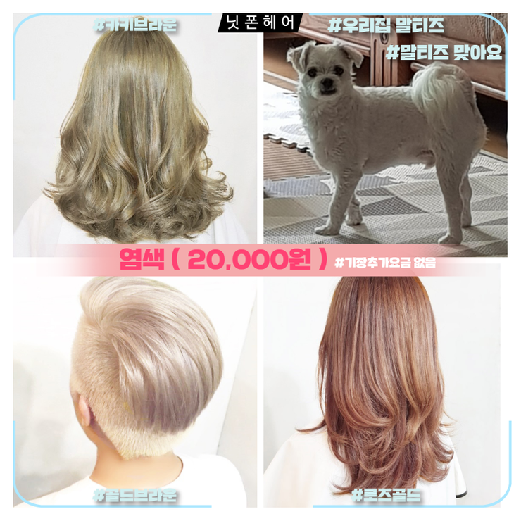 닛폰헤어 이미지