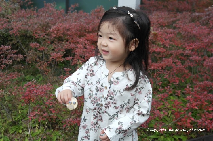 오르심스튜디오 이미지
