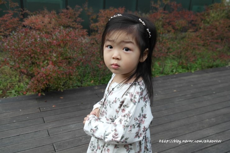 오르심스튜디오 이미지