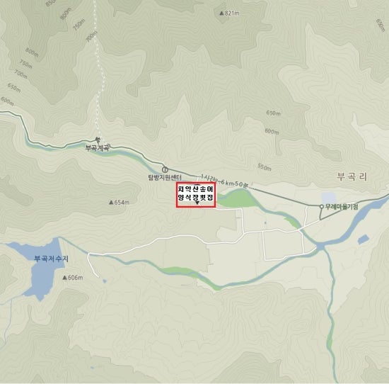 치악산송어횟집 이미지