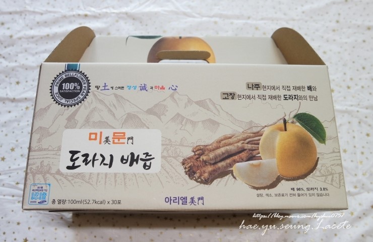 아리엘미문 이미지