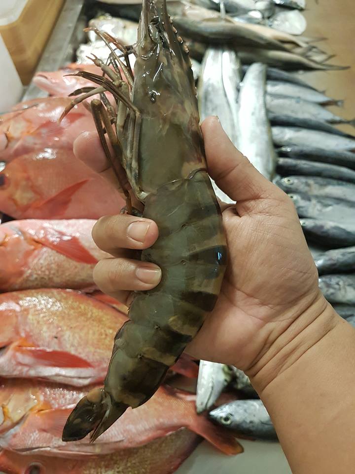 에스씨푸드 이미지