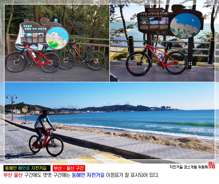 부산 자전거 도로 현황