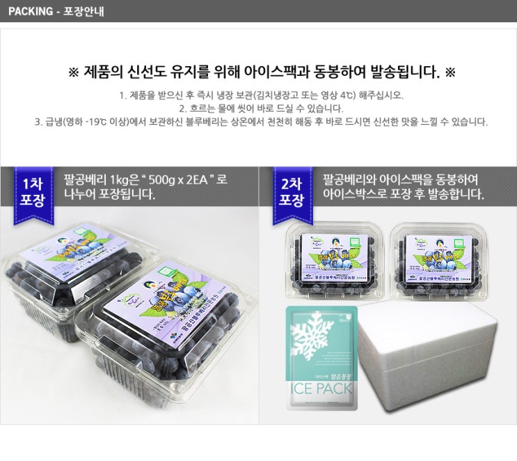 블루베리디자인 이미지