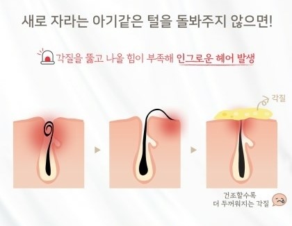 가꾸다헤어 이미지