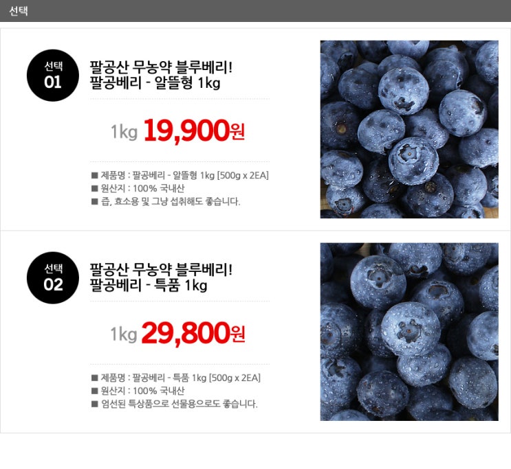 블루베리디자인 이미지