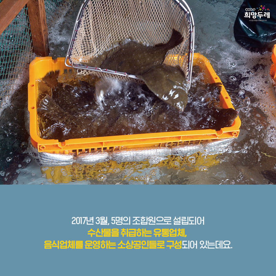 진수유통 이미지