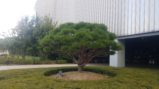 월드조경 이미지