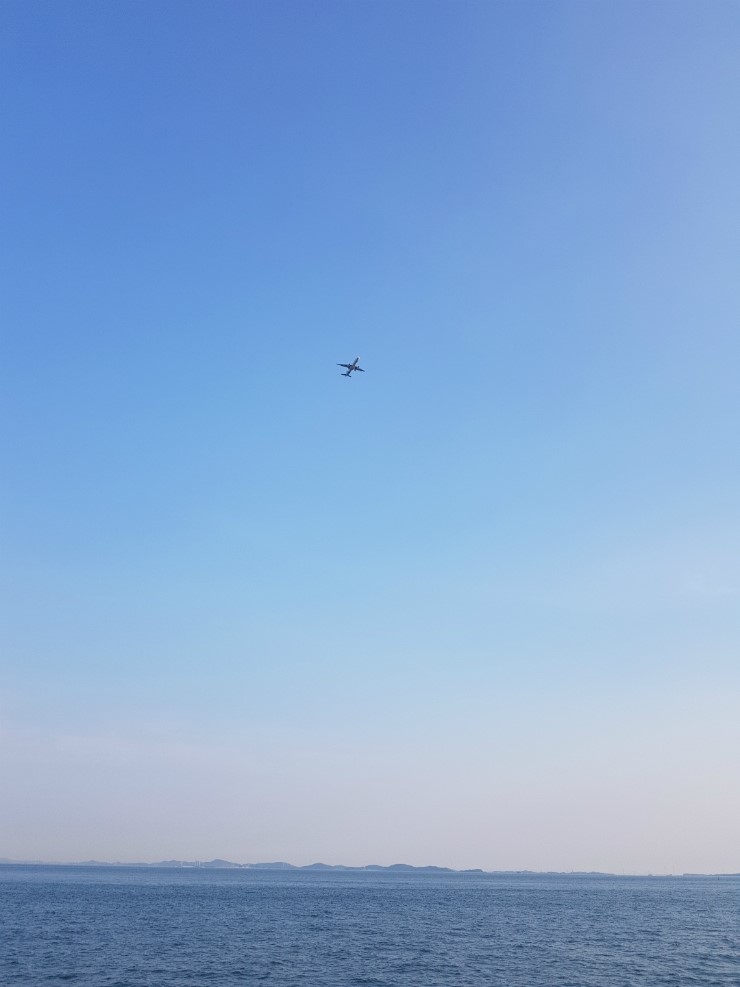 아일랜드호 이미지