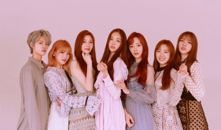 비비드미디어 이미지