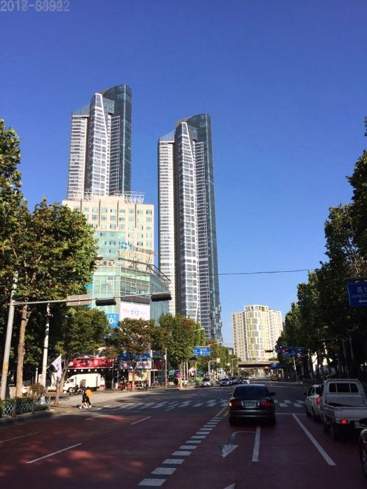 부천중앙초등학교 이미지