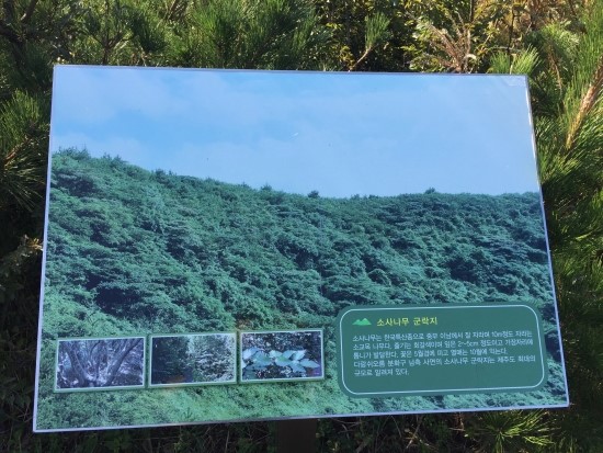 소사오름 이미지