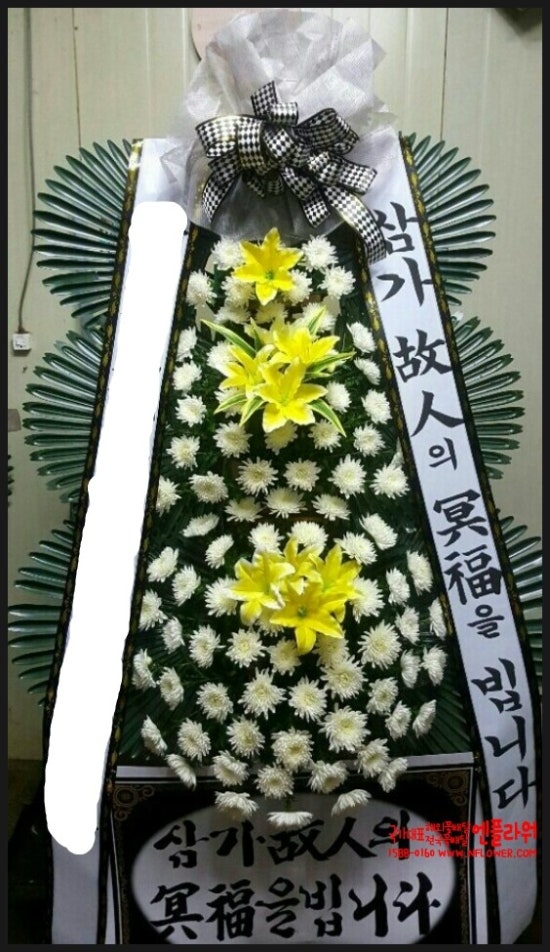 국가대표꽃배달엔플라워 이미지