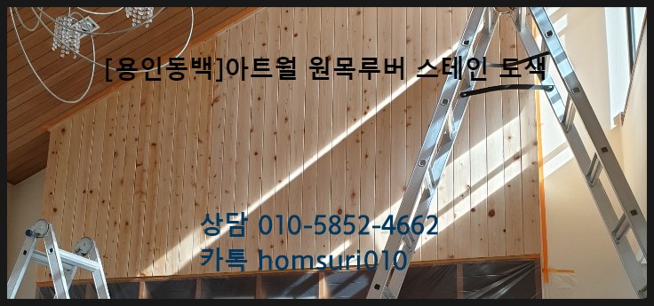 스테인동백 이미지