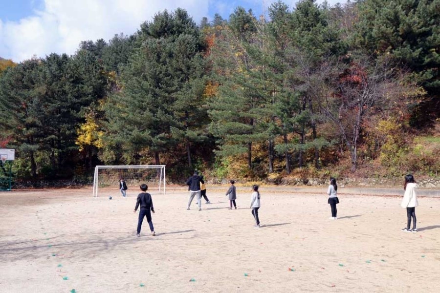 브라보캠핑장 이미지