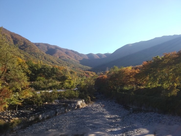 오동통신 이미지