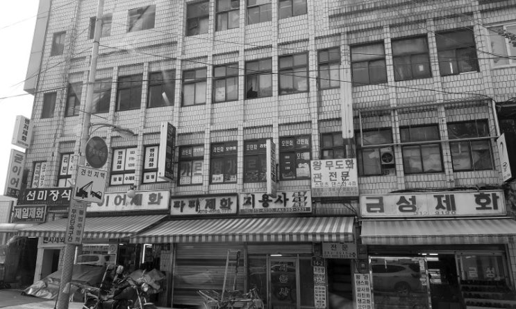 부선 이미지