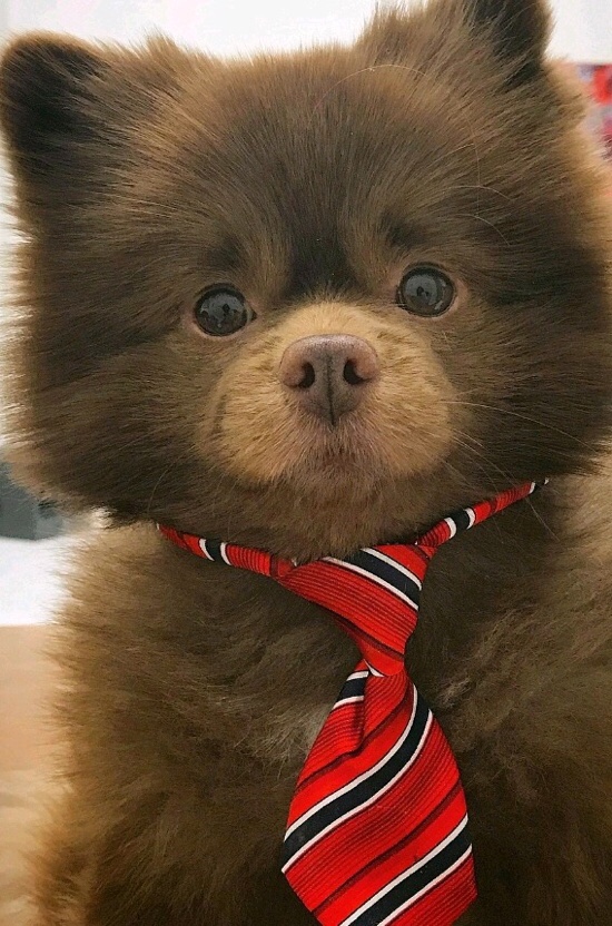 퍼플마켓 이미지