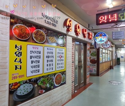 성원낙지 이미지
