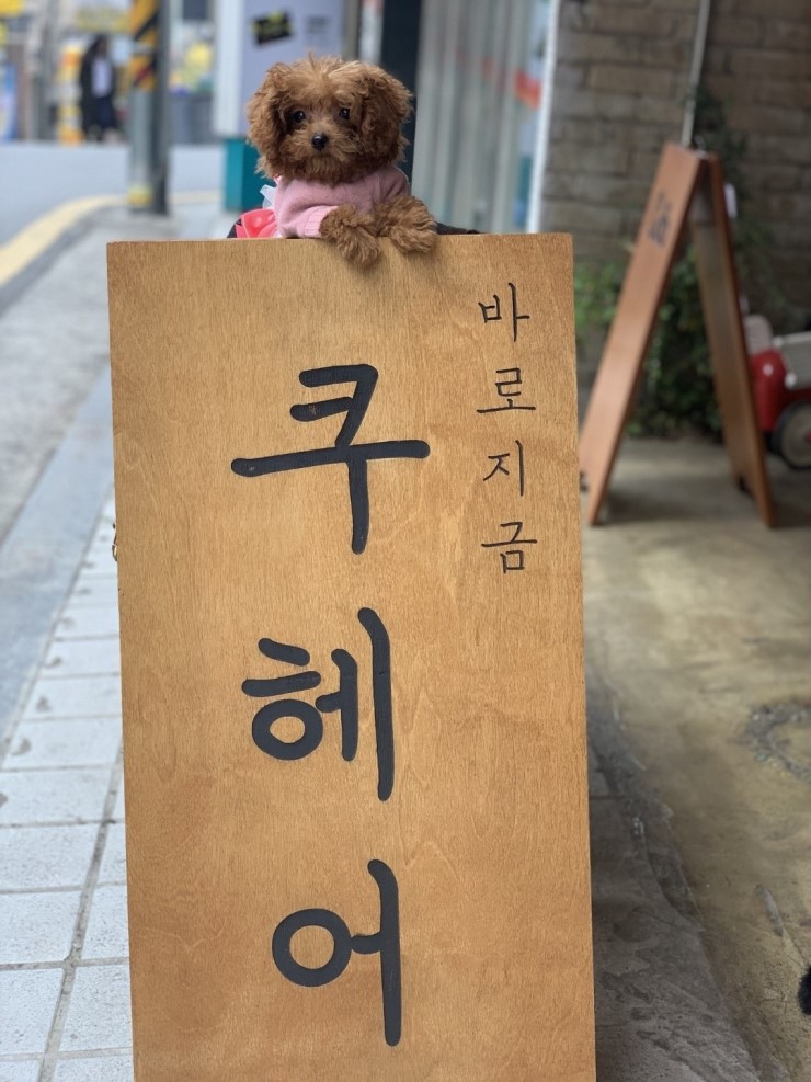 나들이미용실 이미지