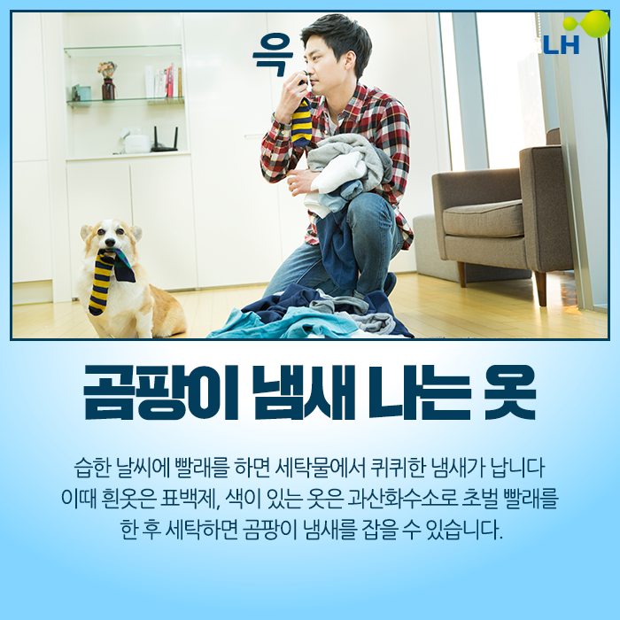 하얀세탁소 이미지