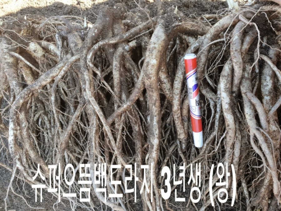 정성슈퍼 이미지