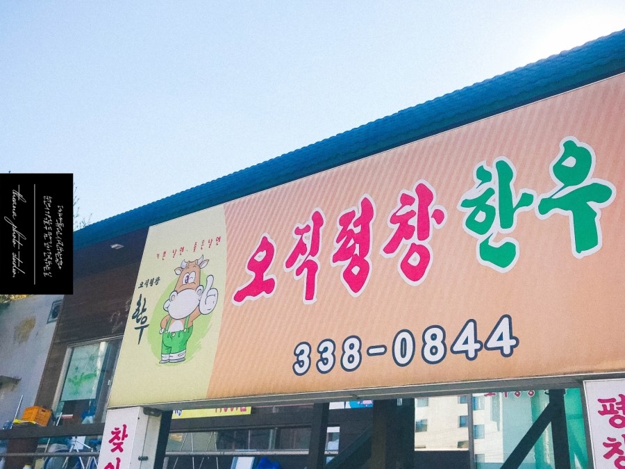 오직평창한우 이미지
