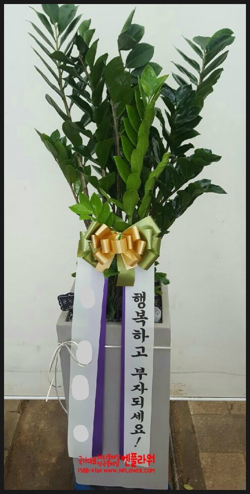 국가대표꽃배달엔플라워 이미지