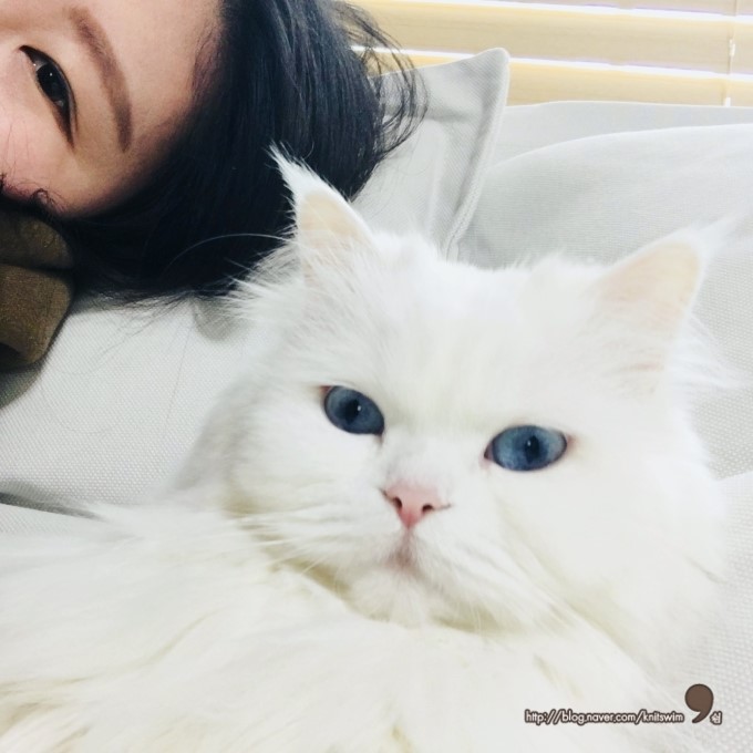 별내손뜨개공방 이미지