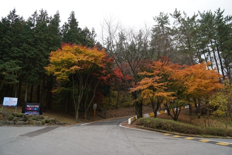 포스코백운산수련원 이미지