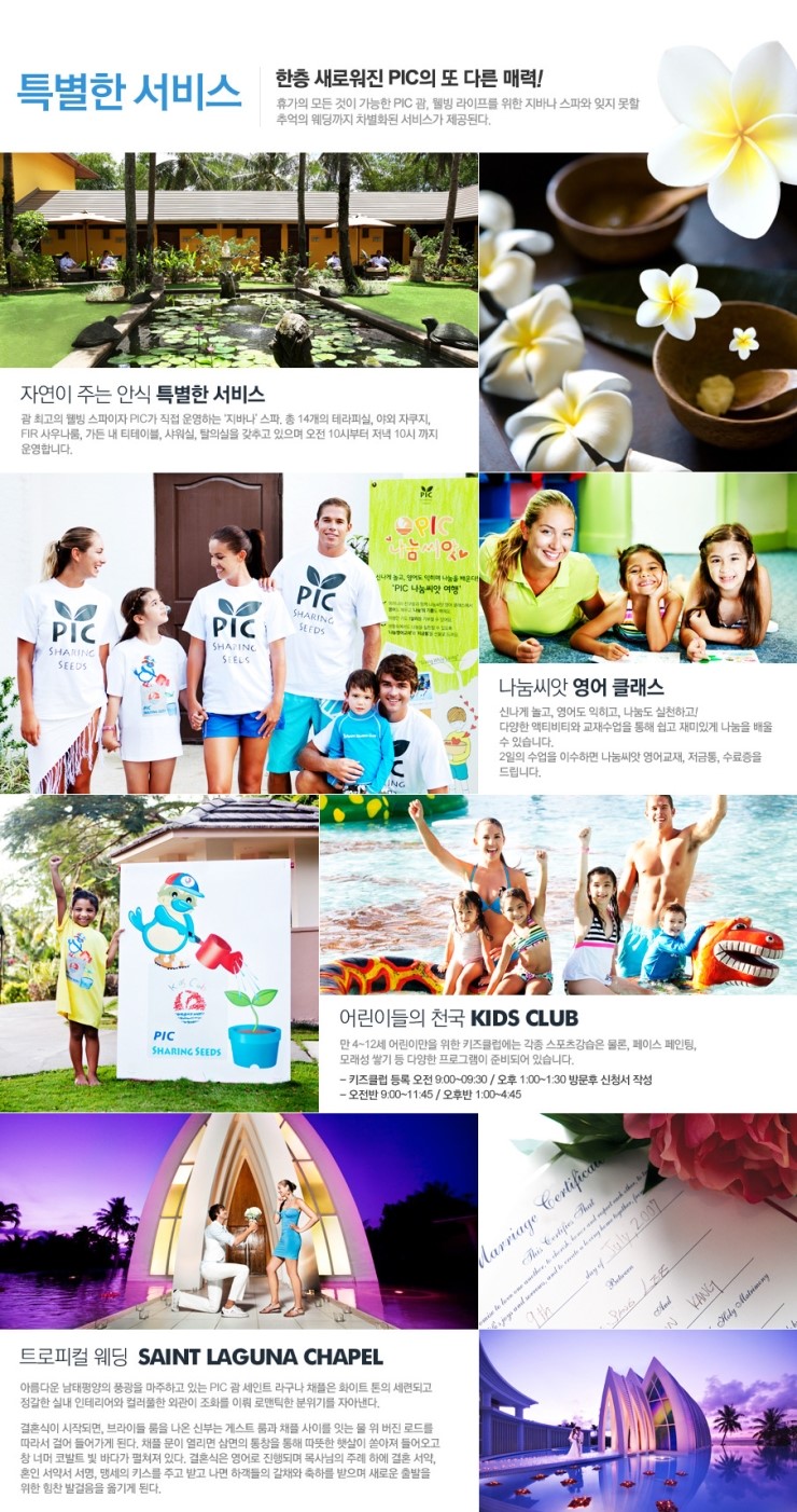 피아이씨(PIC) 이미지