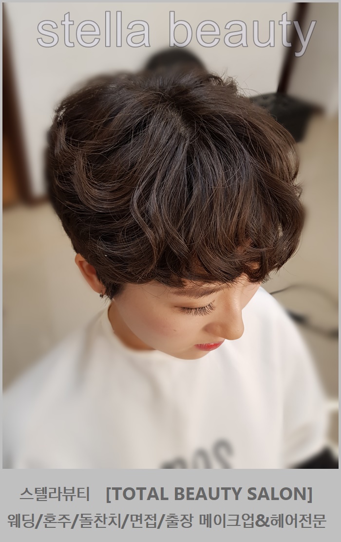 헤어스텔라 이미지