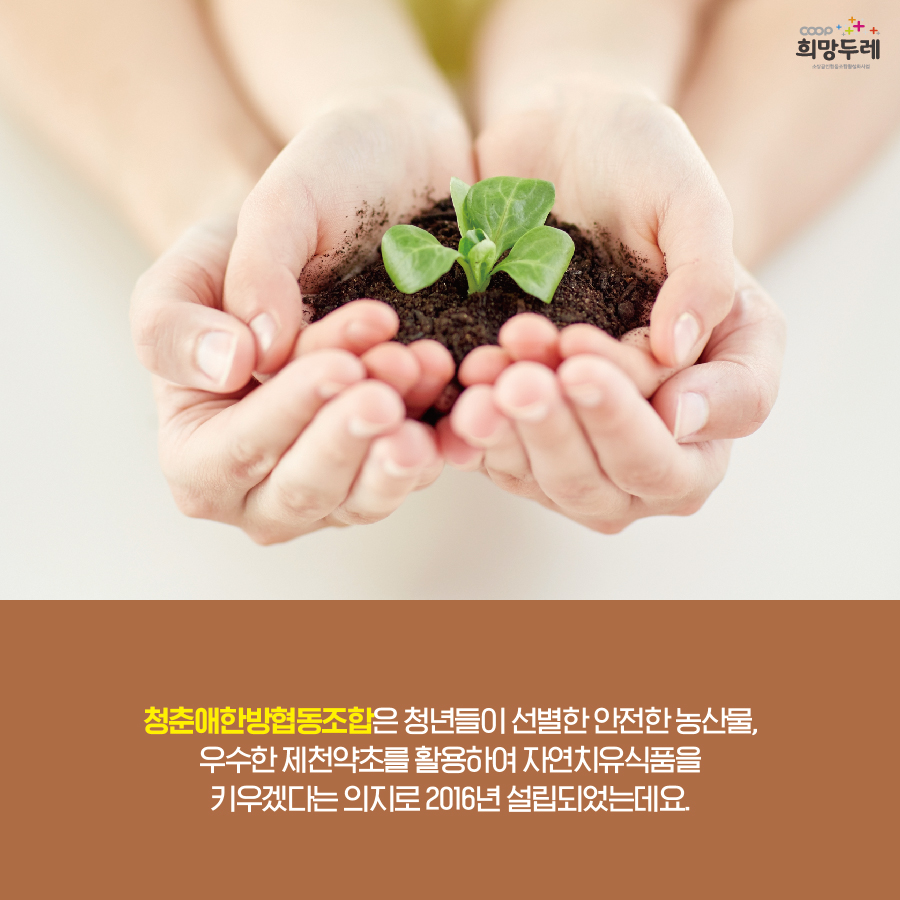 청춘애한방협동조합 이미지