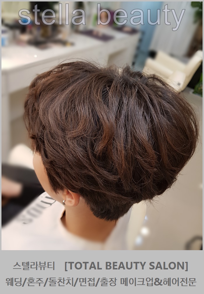 헤어스텔라 이미지
