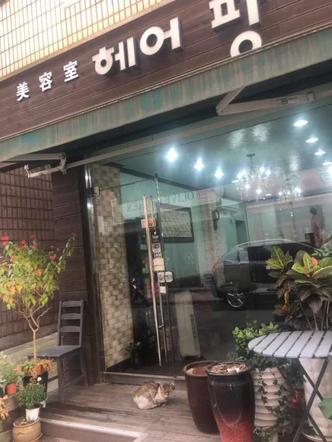 헤어팡 이미지